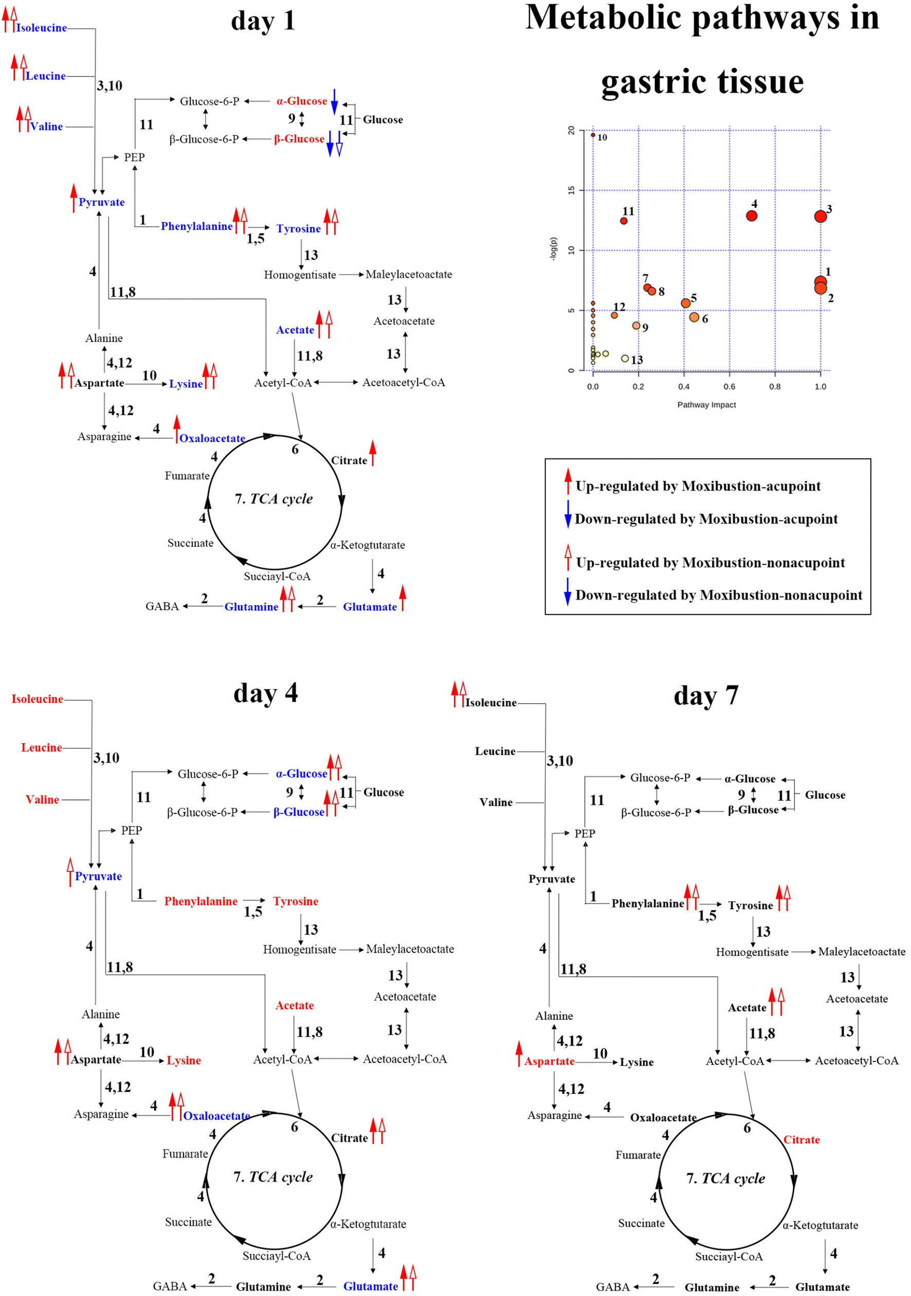 Fig. 5