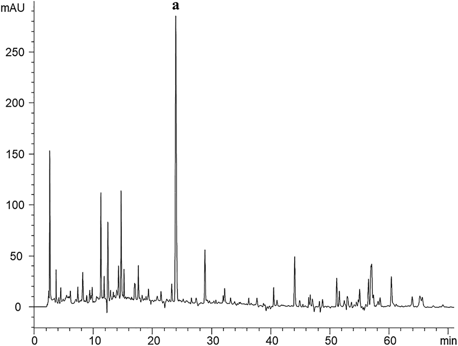 Fig. 1