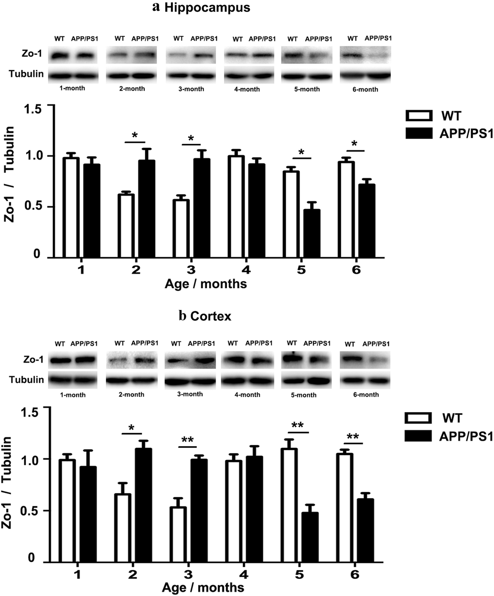 Fig. 2