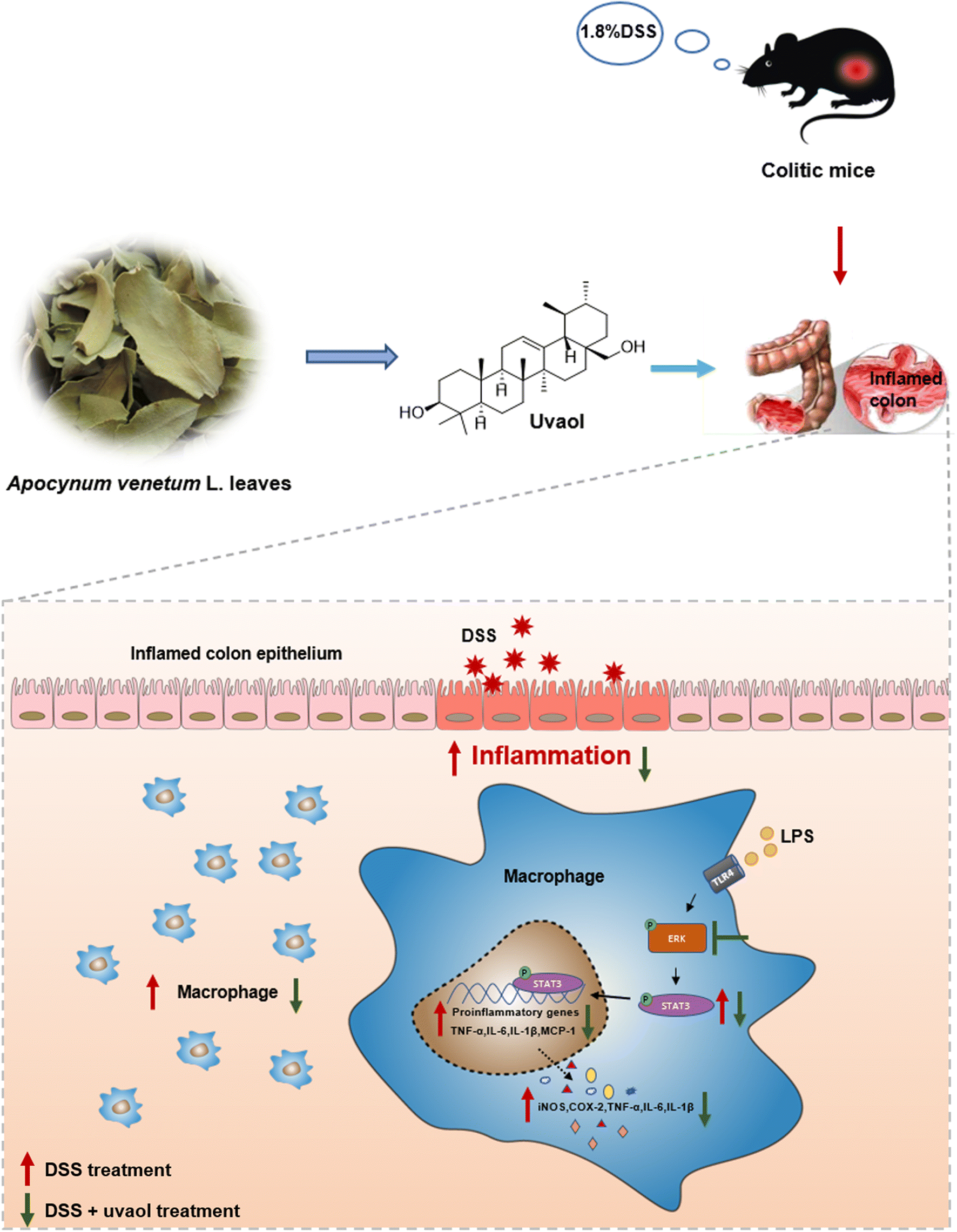 Fig. 6