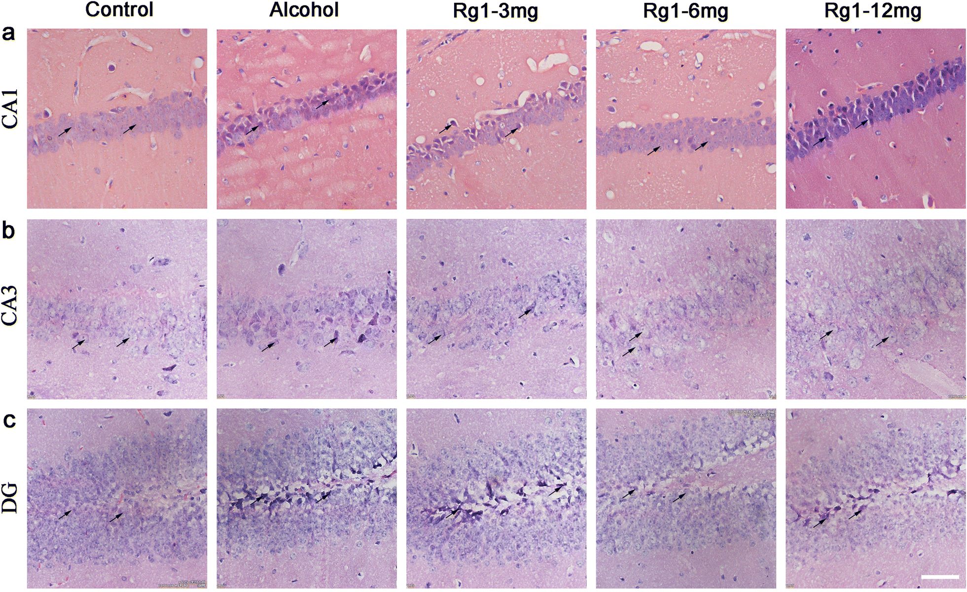 Fig. 2