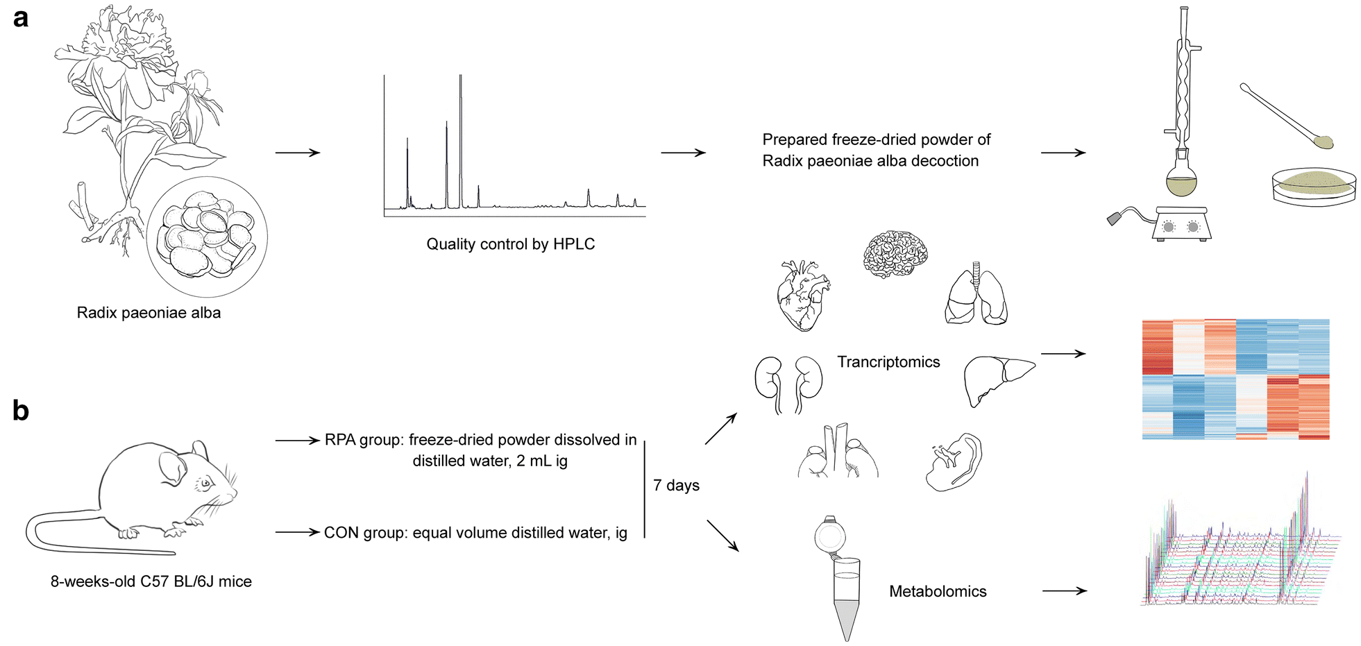 Fig. 1