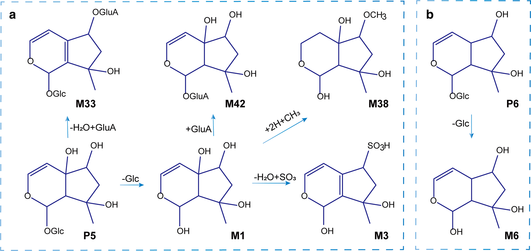 Fig. 5