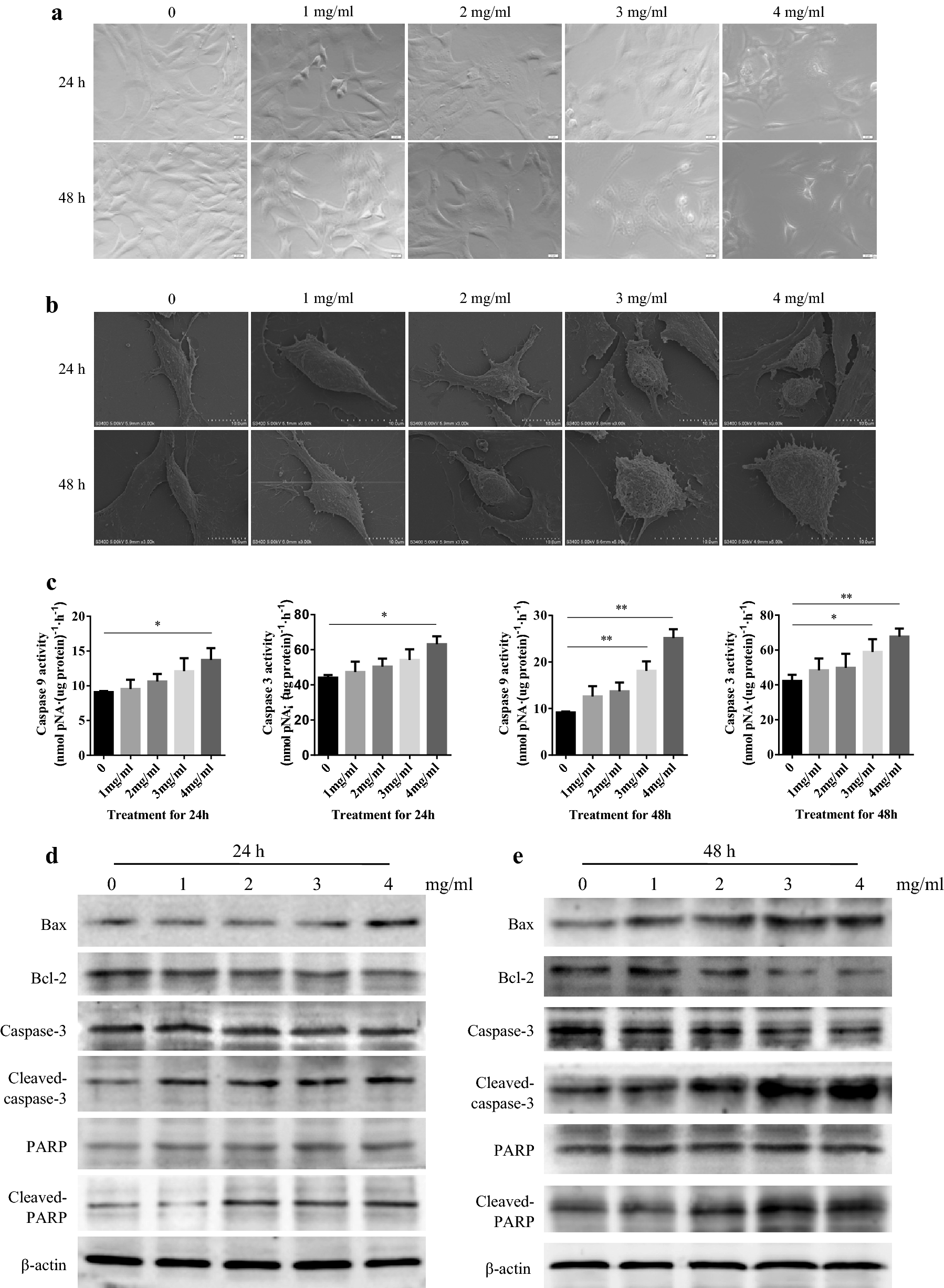 Fig. 3