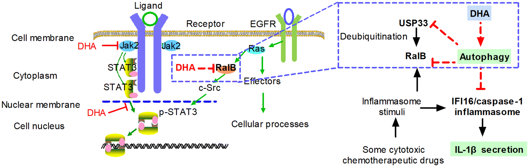 Fig. 7