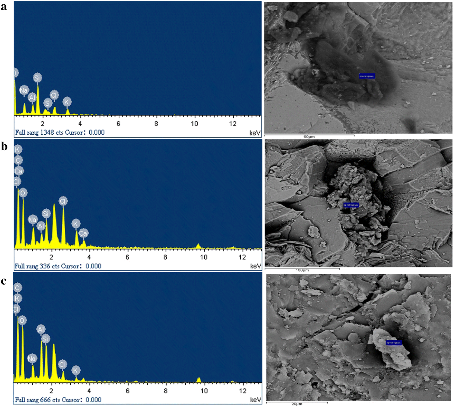 Fig. 8