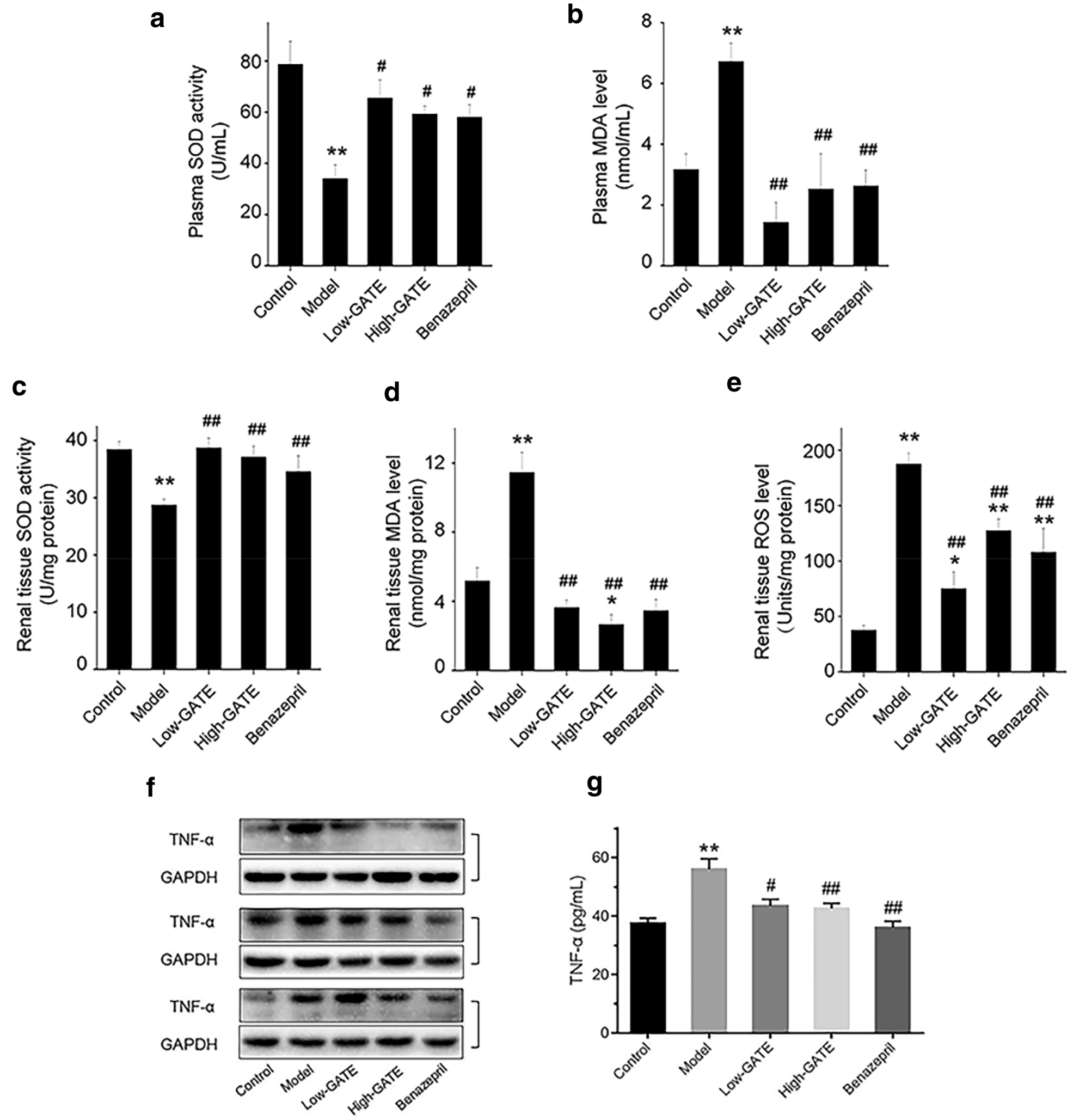 Fig. 7