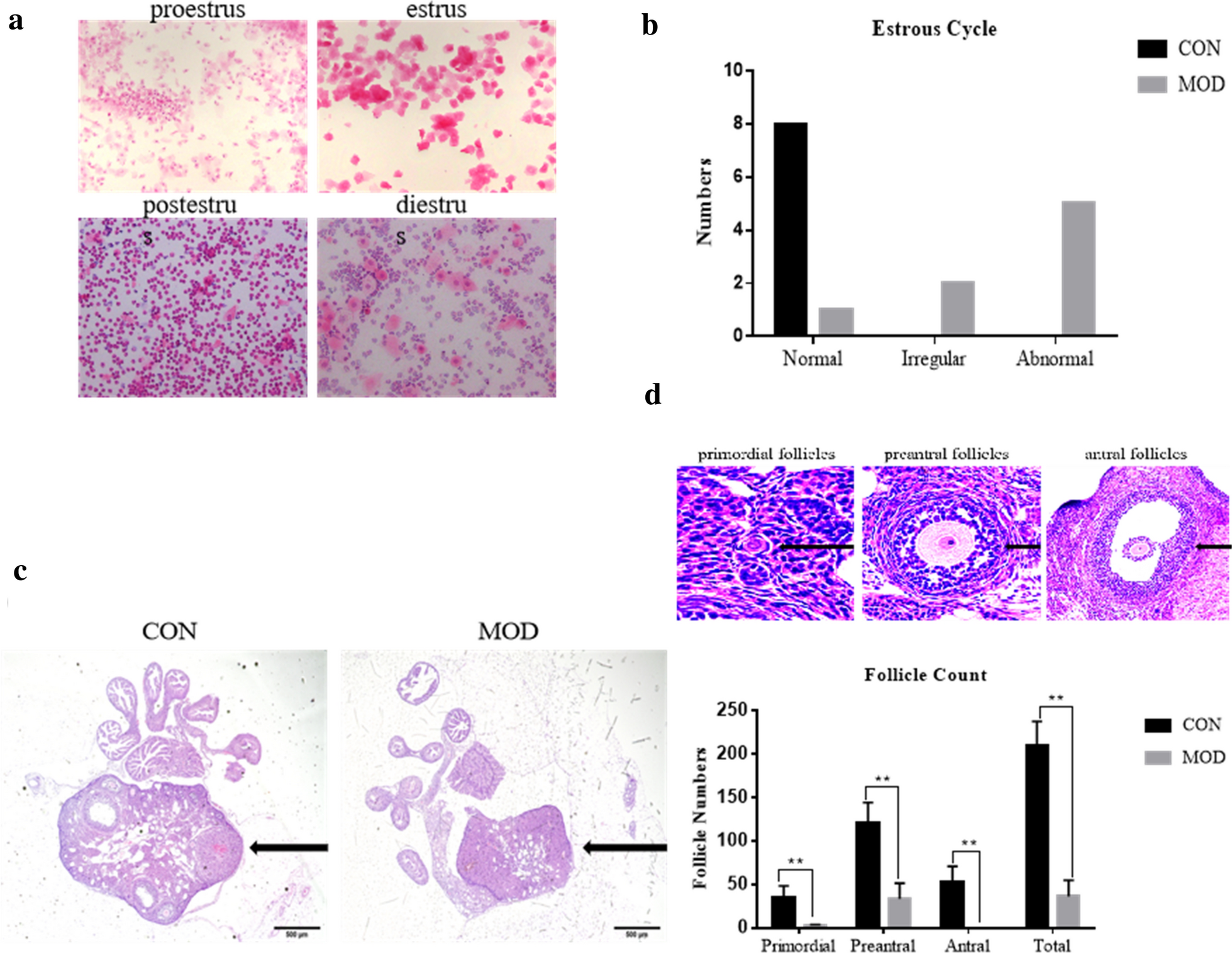 Fig. 2