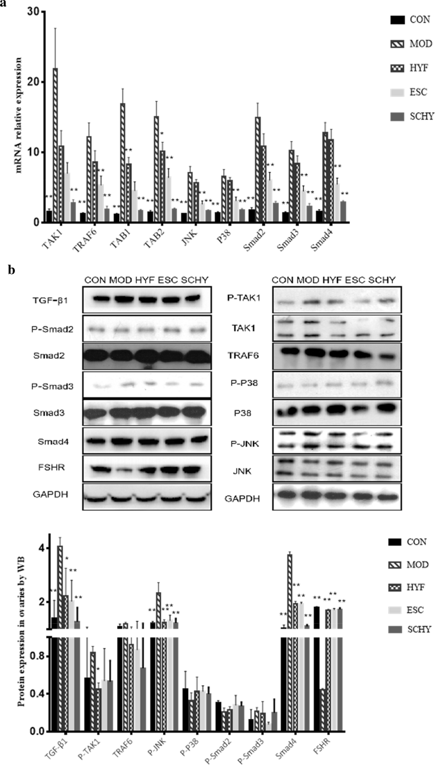 Fig. 6