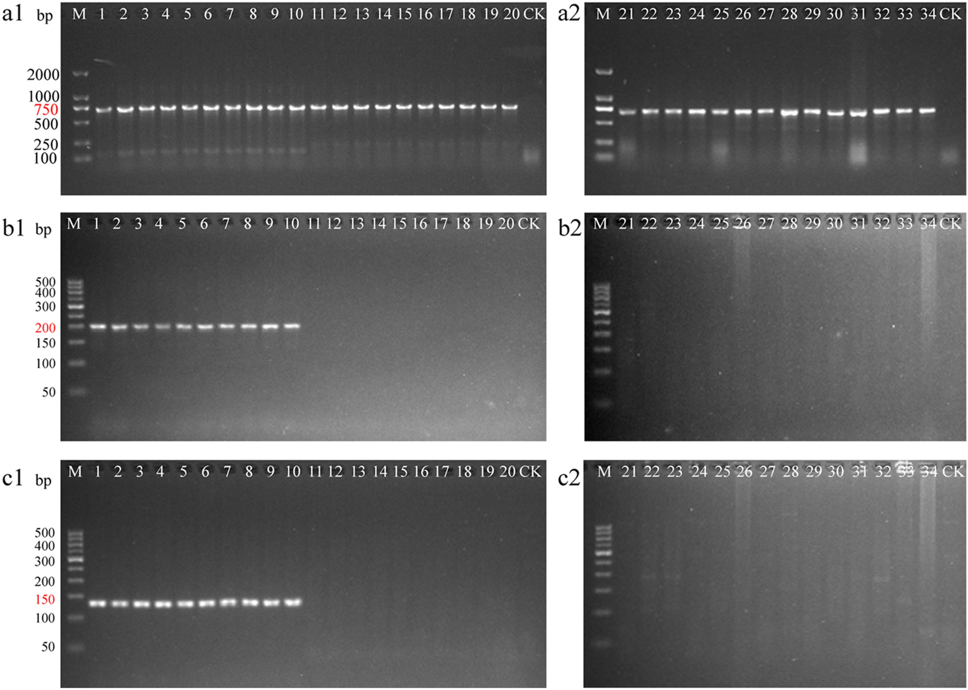 Fig. 2