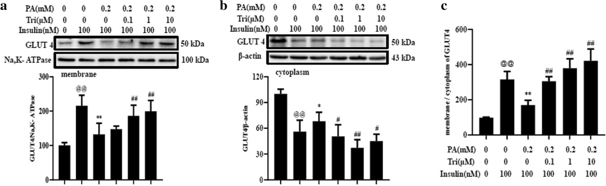 Fig. 4