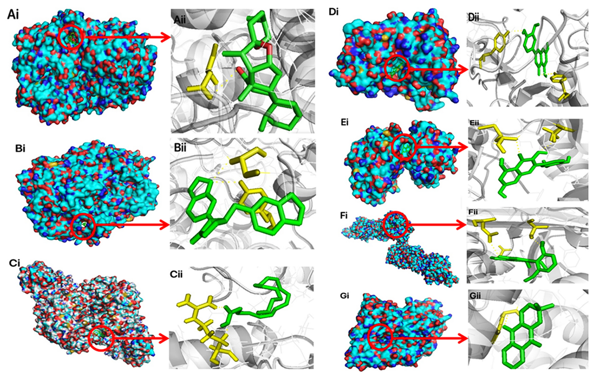 Fig. 9