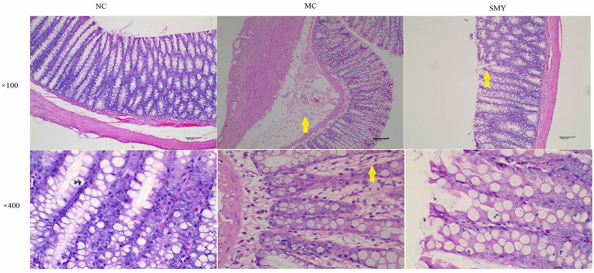 Fig. 5