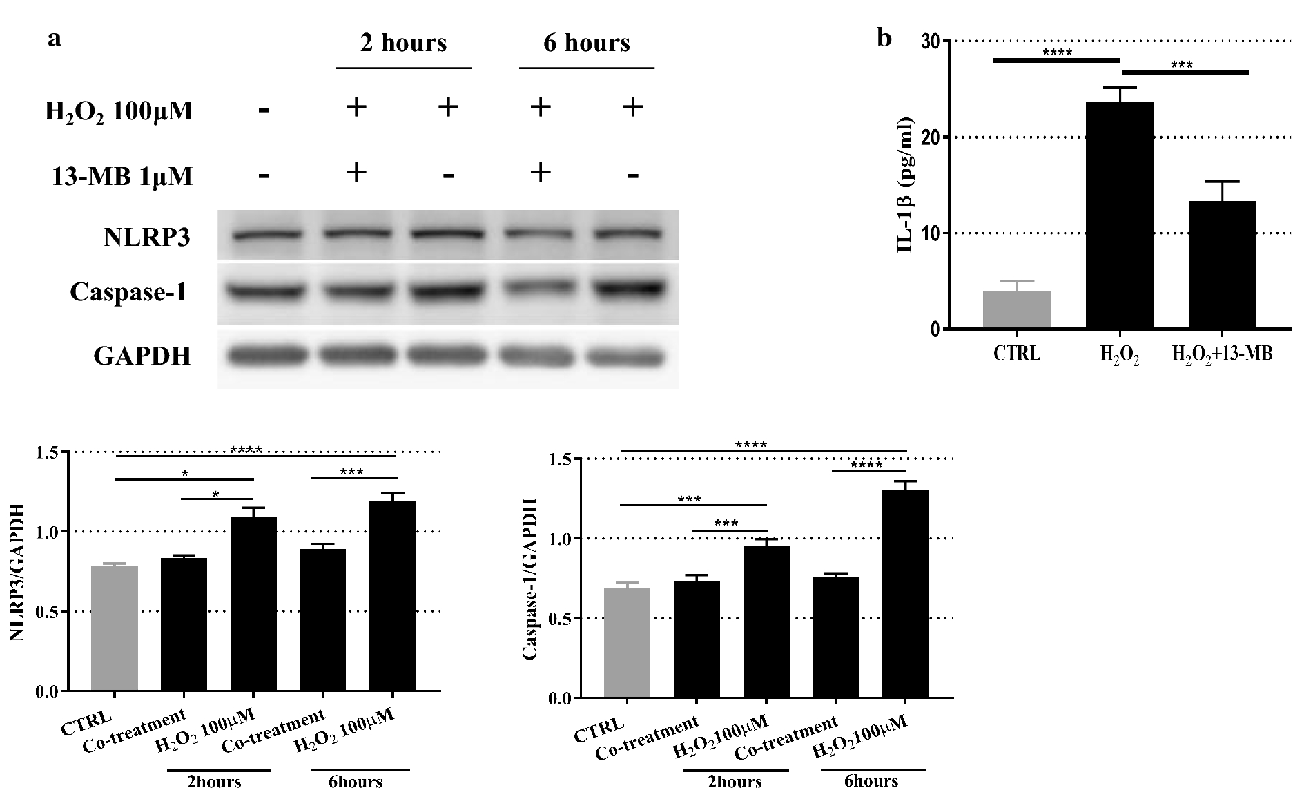 Fig. 4