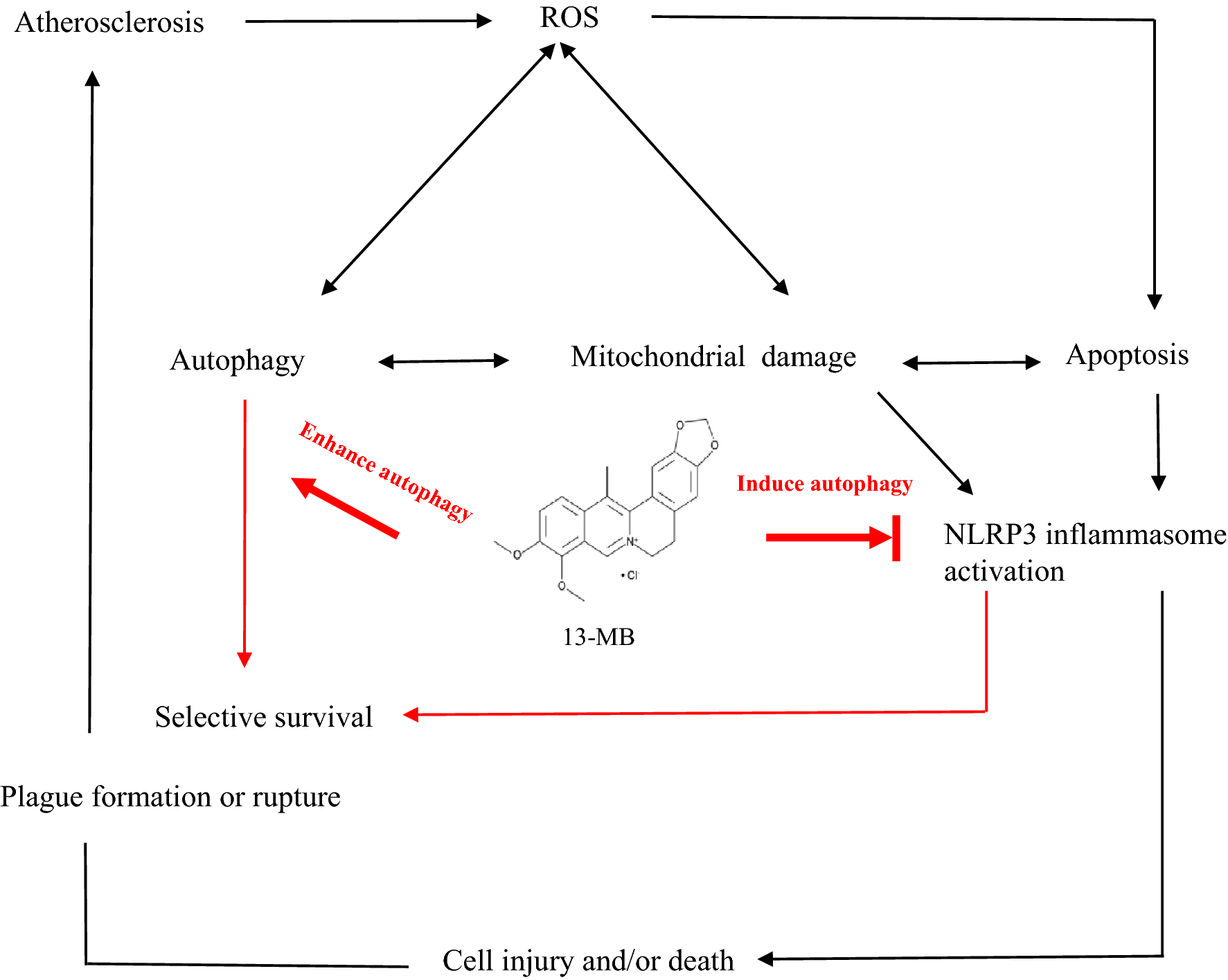 Fig. 7