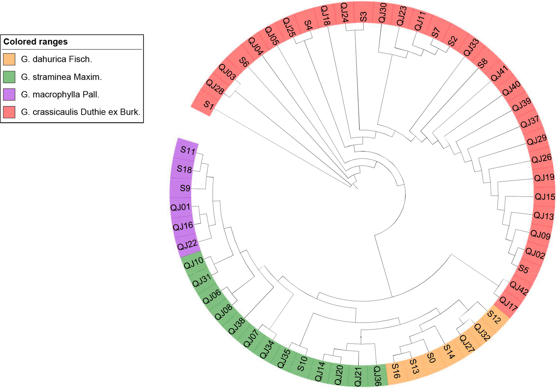 Fig. 2