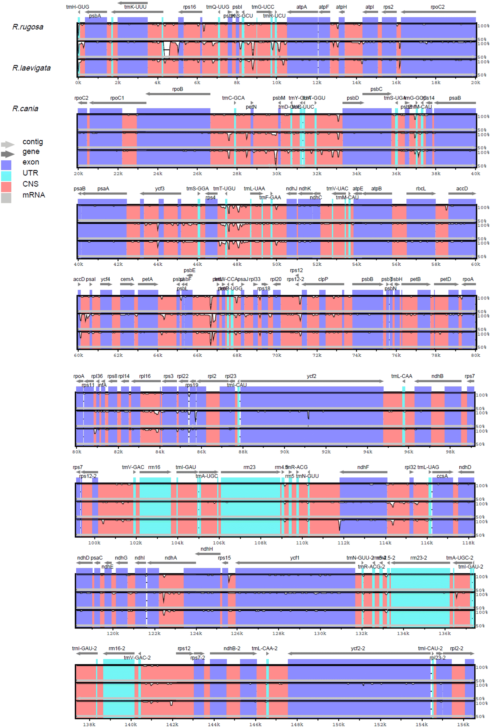 Fig. 4