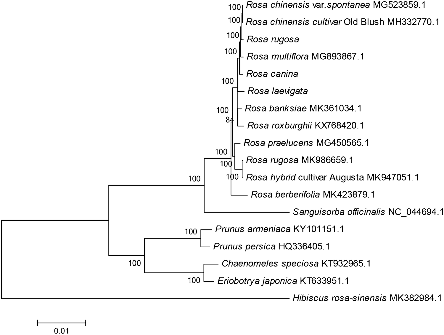 Fig. 6