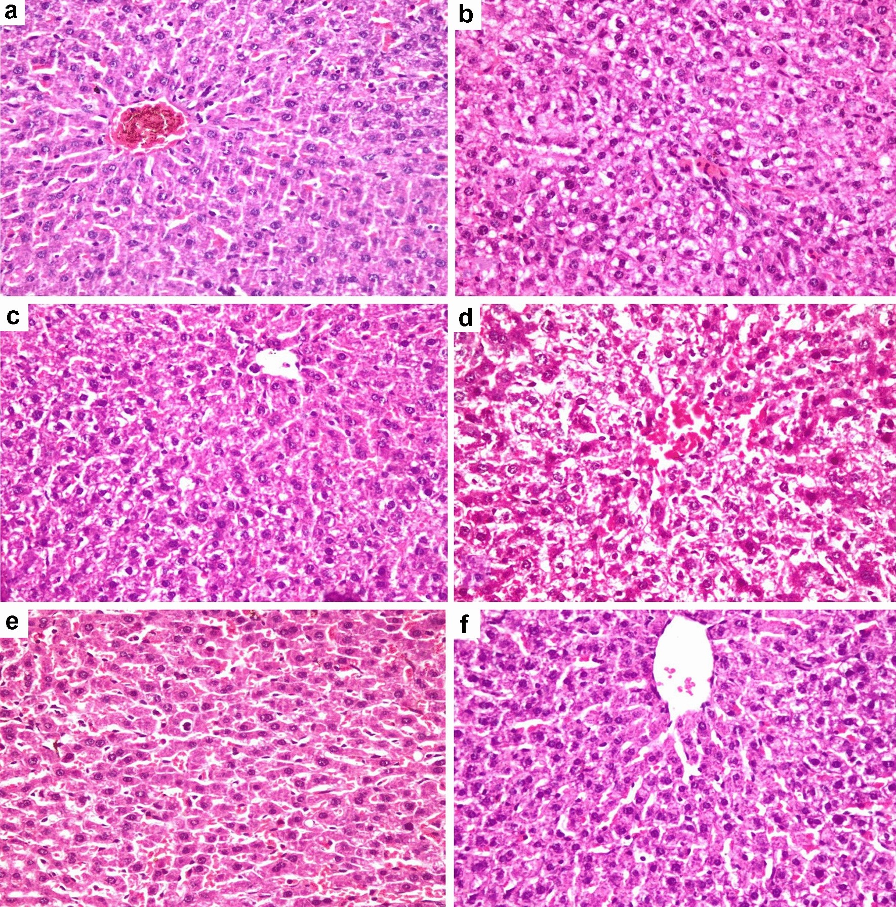 Fig. 10