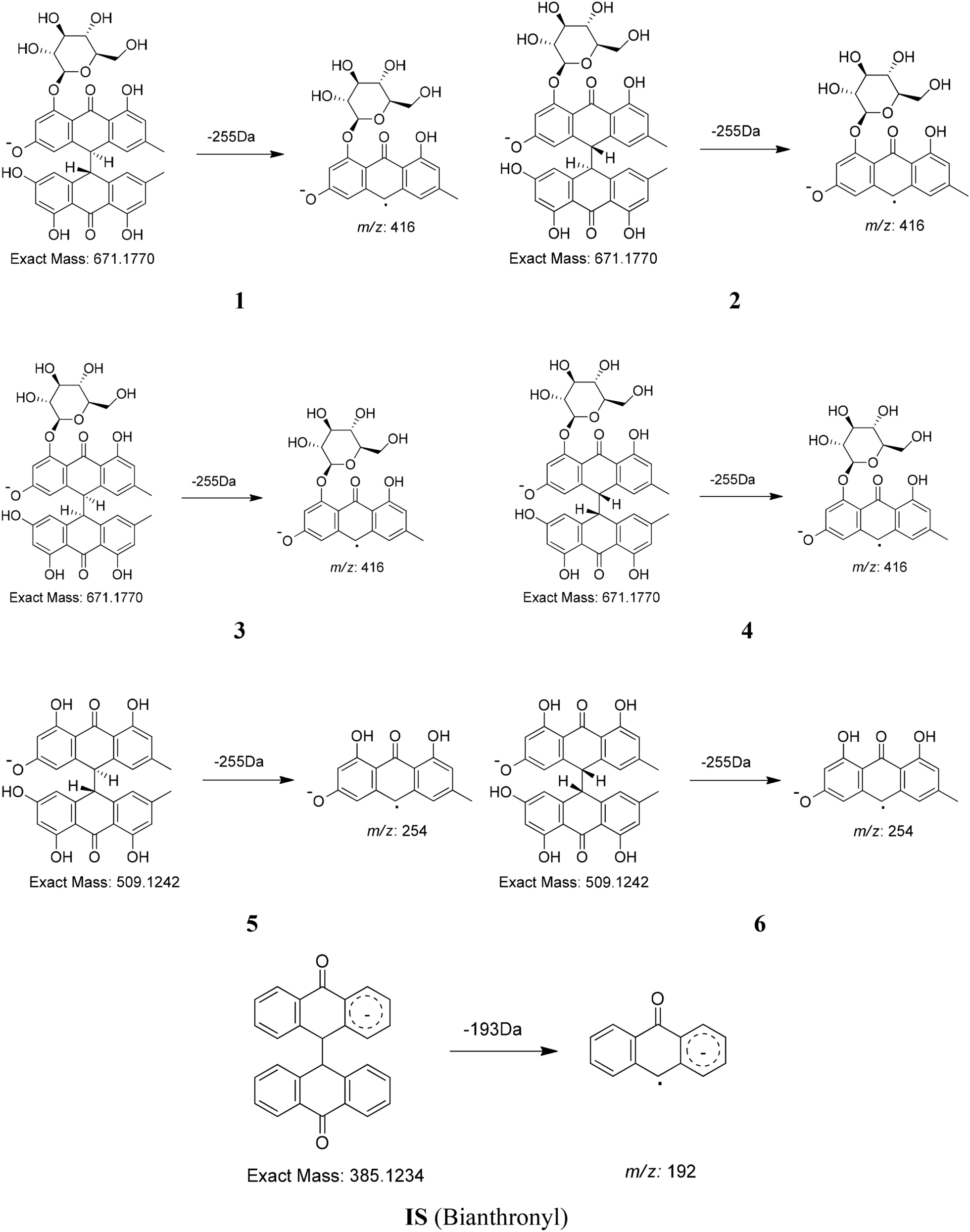 Fig. 3