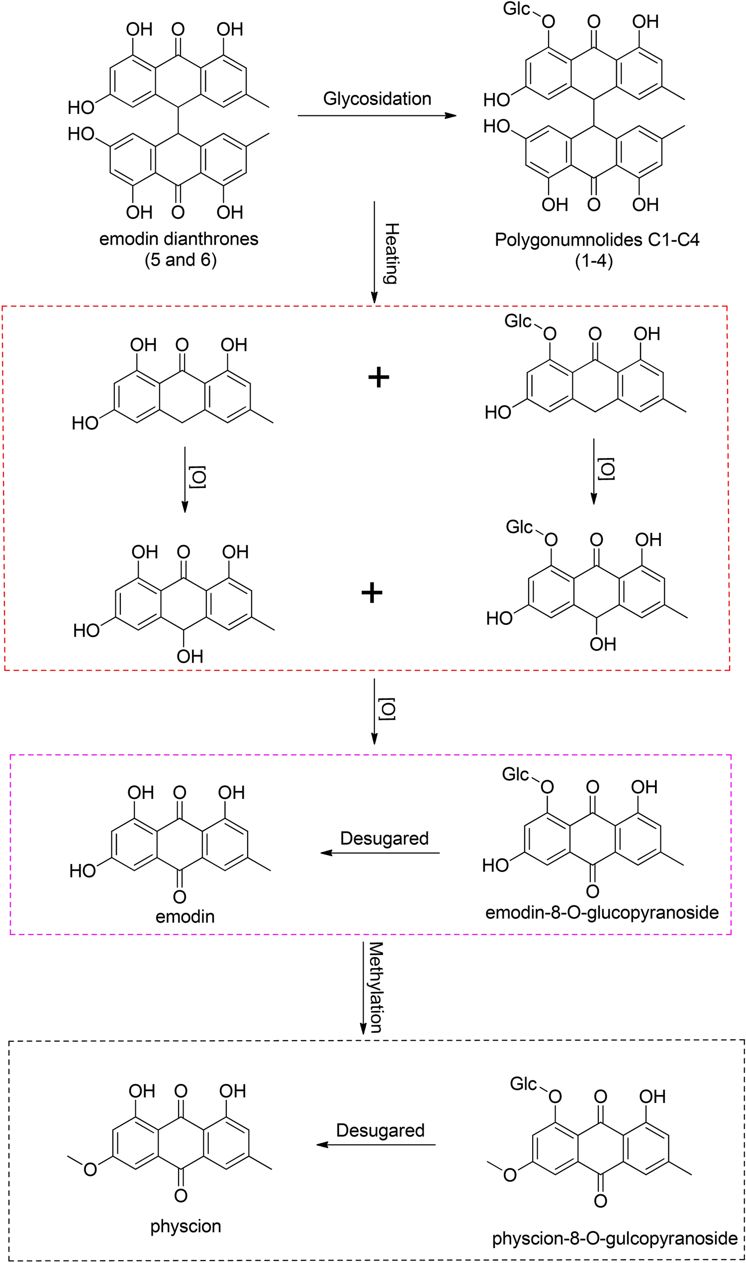 Scheme 1