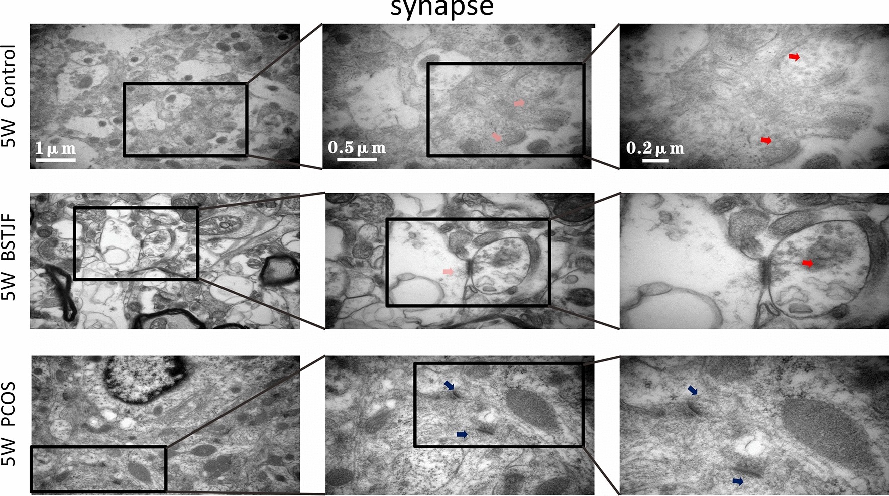 Fig. 9