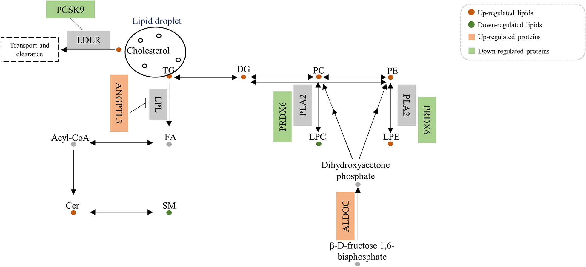 Fig. 7