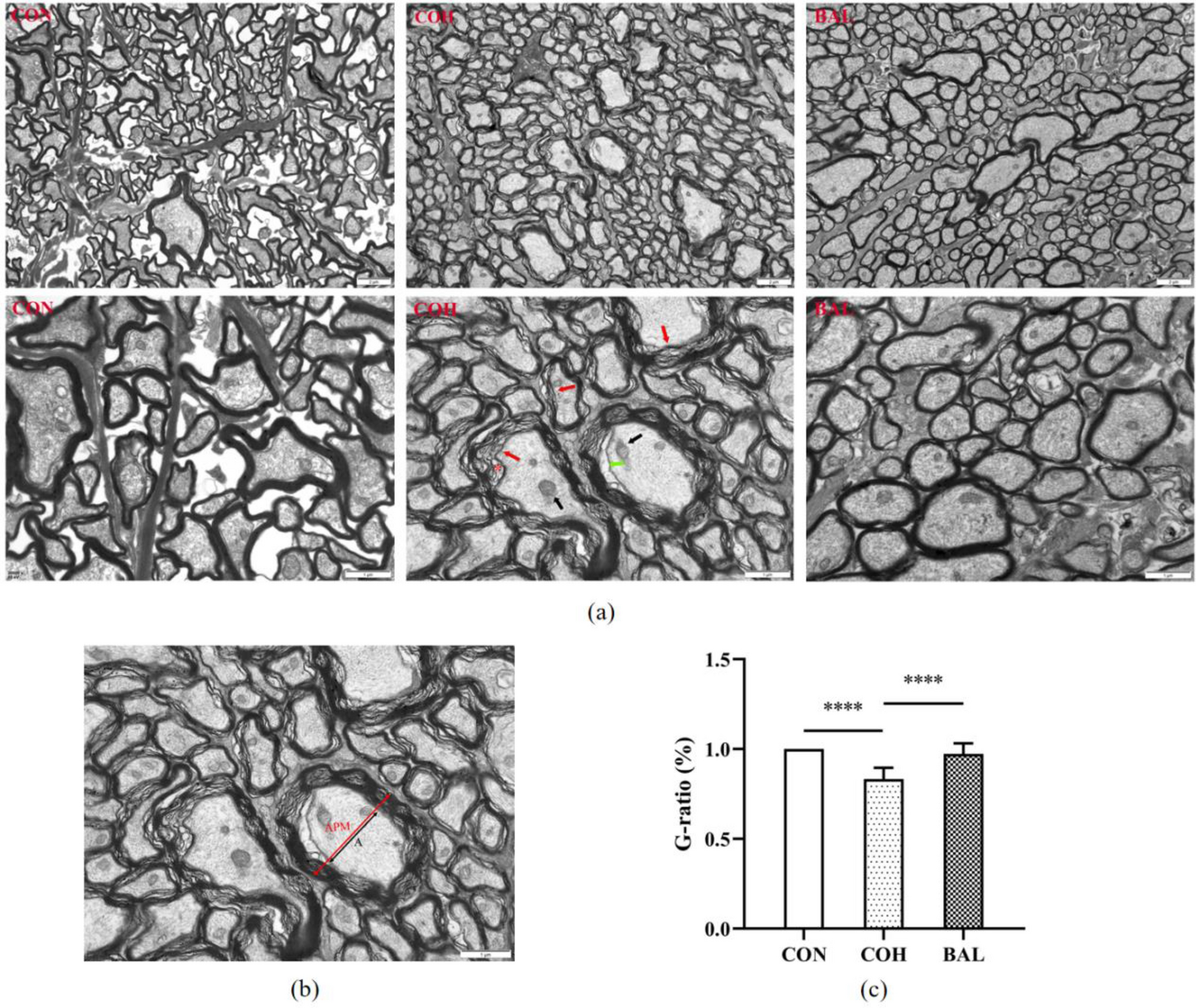 Fig. 10