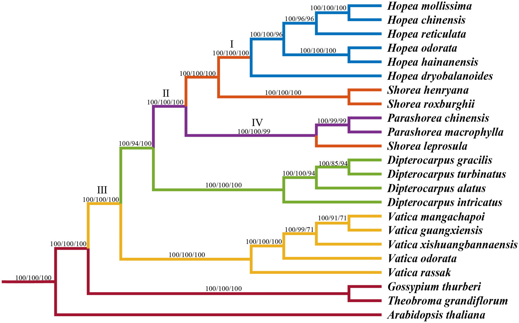 Fig. 7