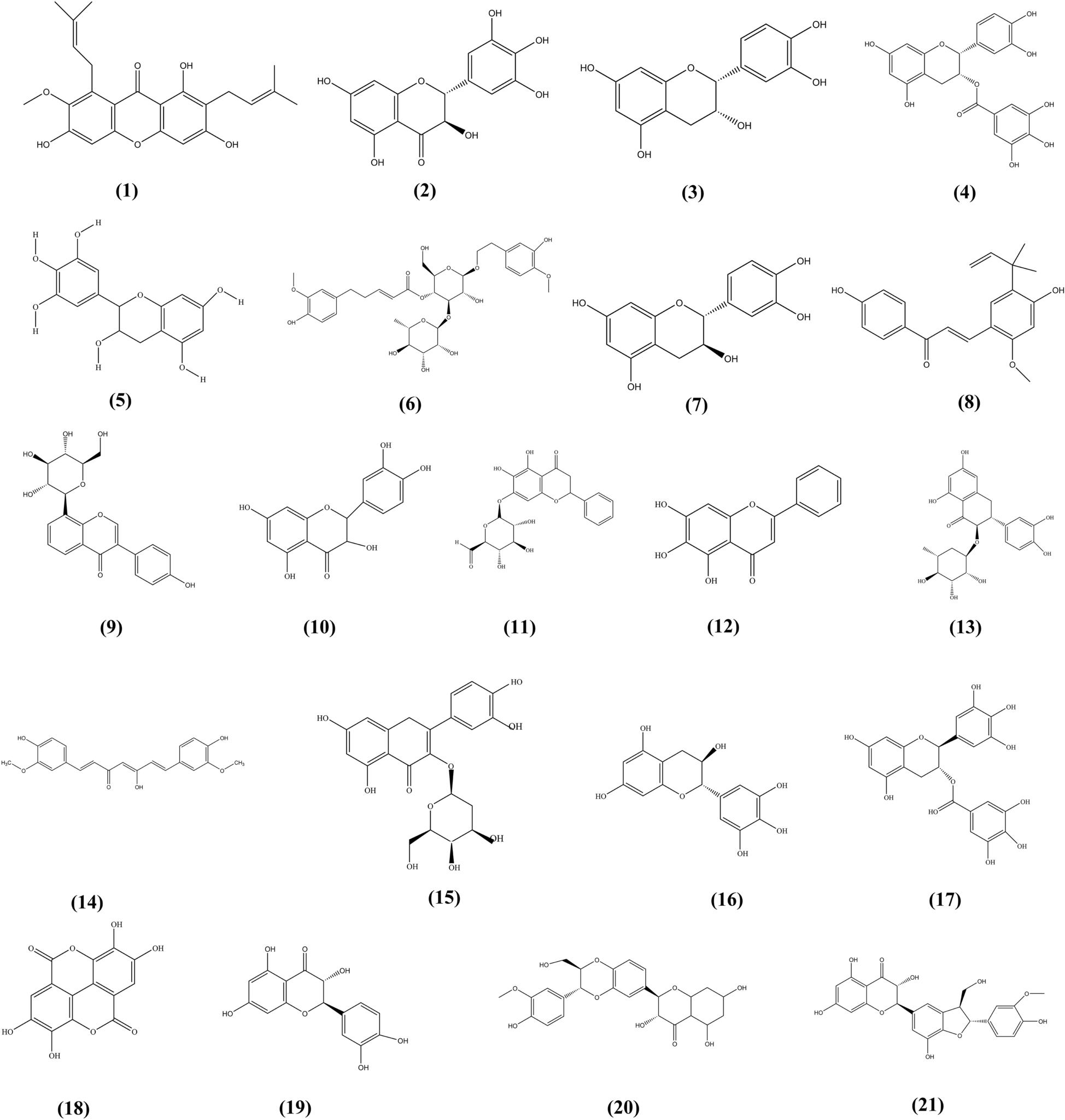 Fig. 5