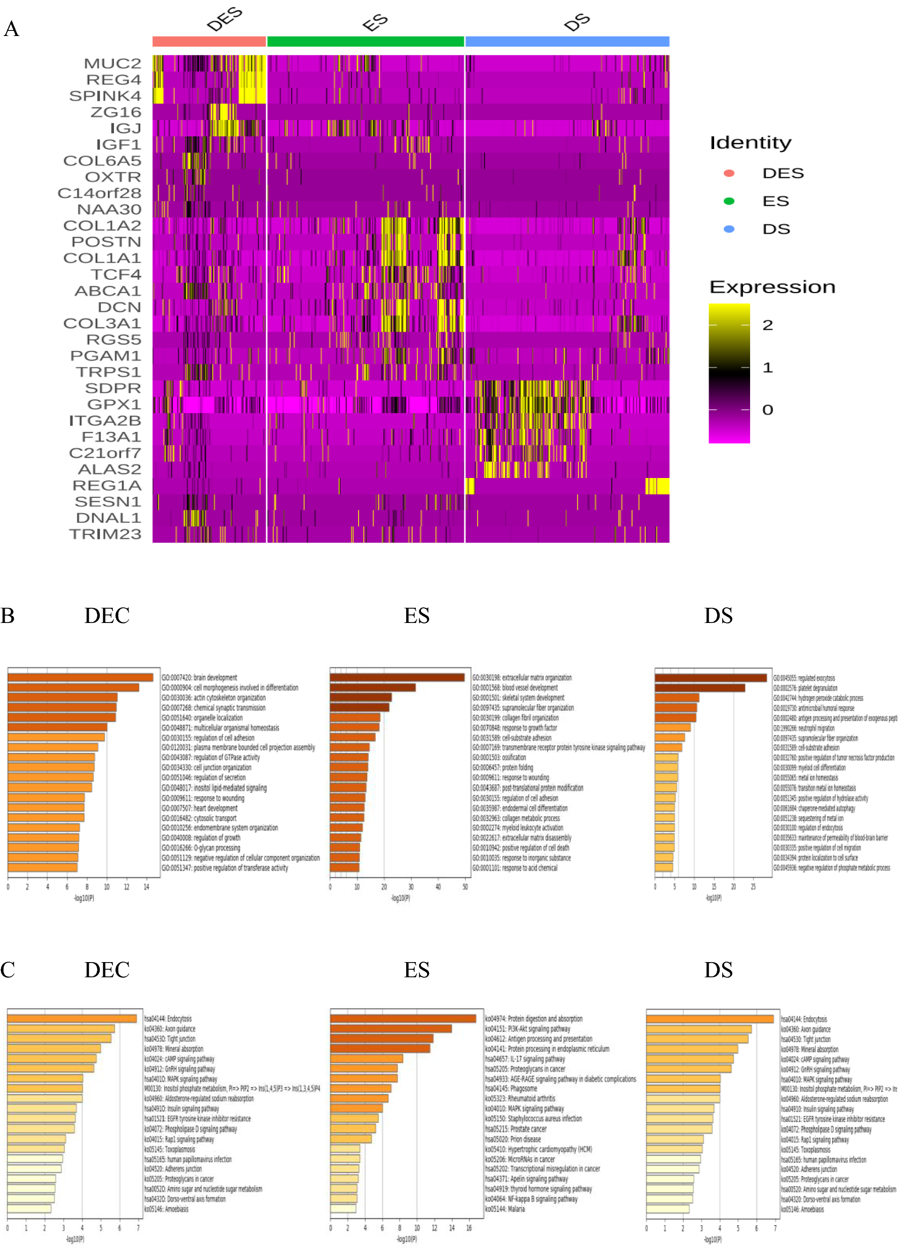 Fig. 2