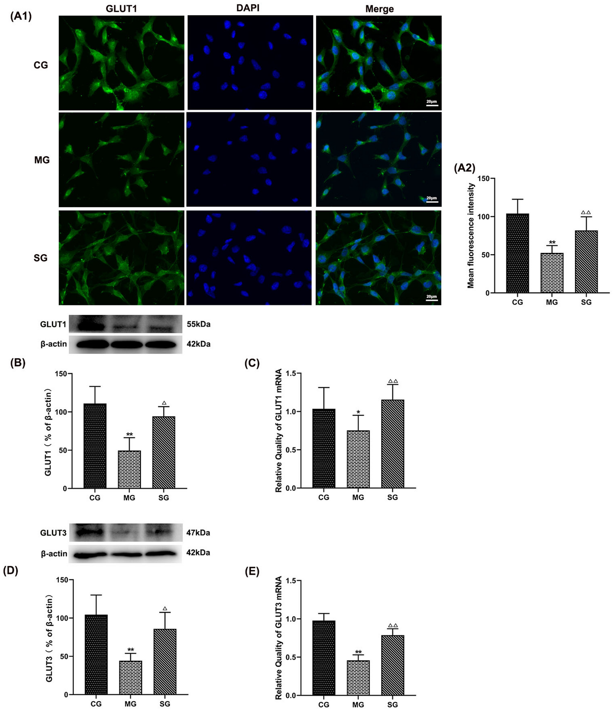 Fig. 11