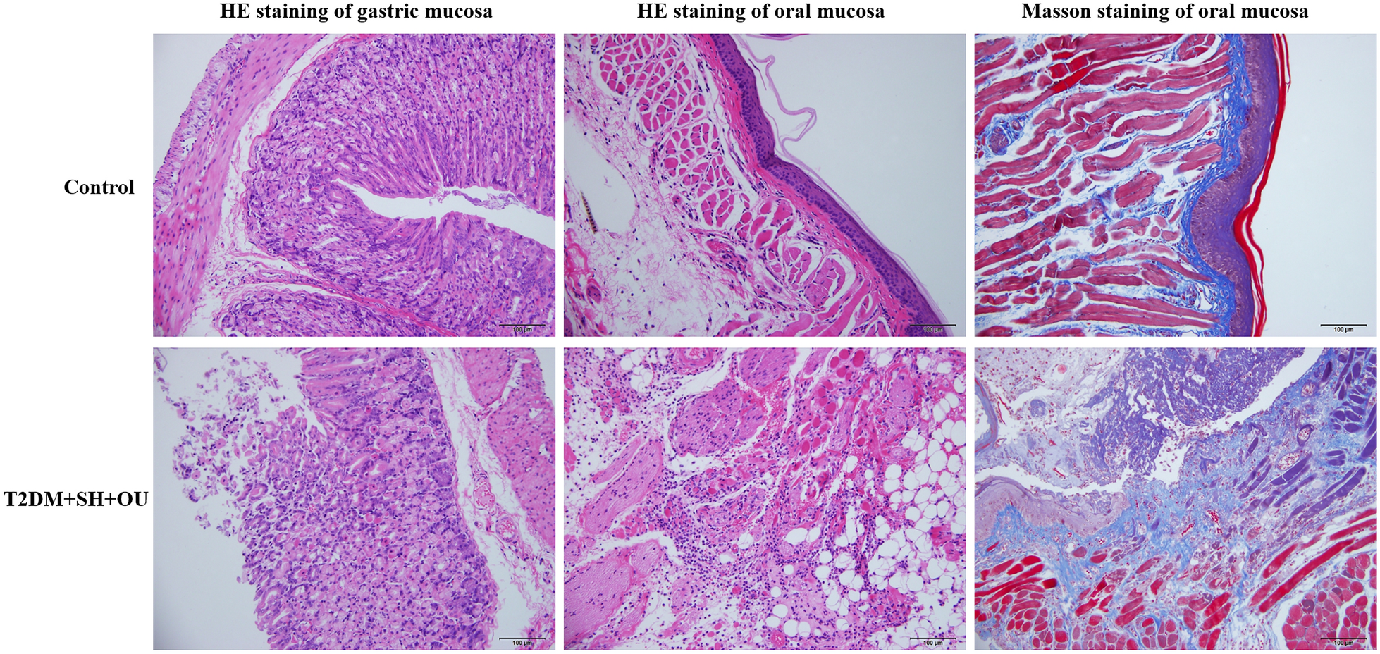 Fig.4