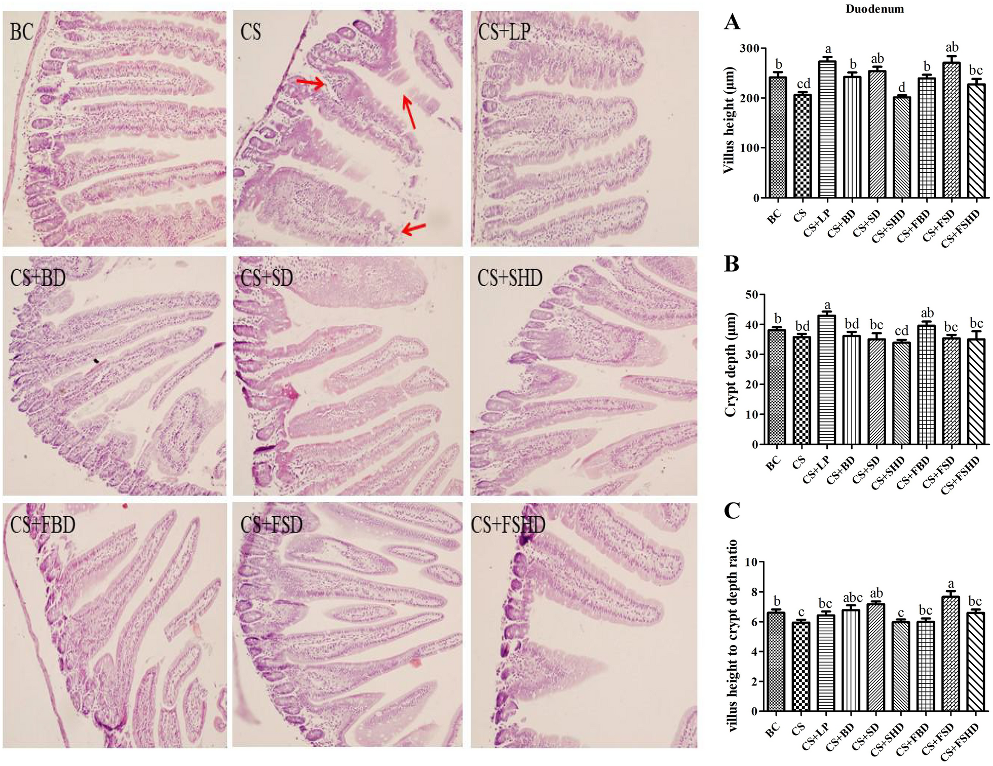 Fig. 4