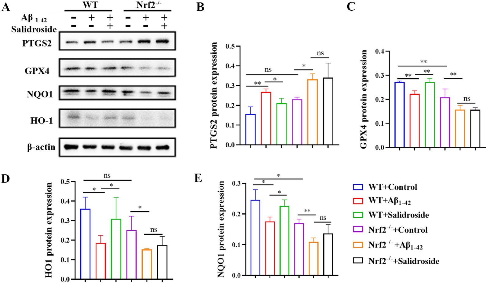 Fig. 9