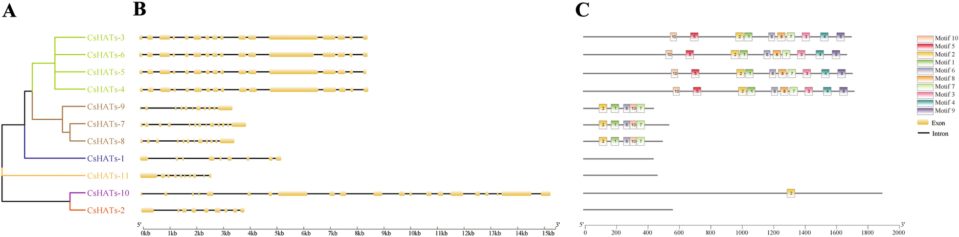 Fig. 3