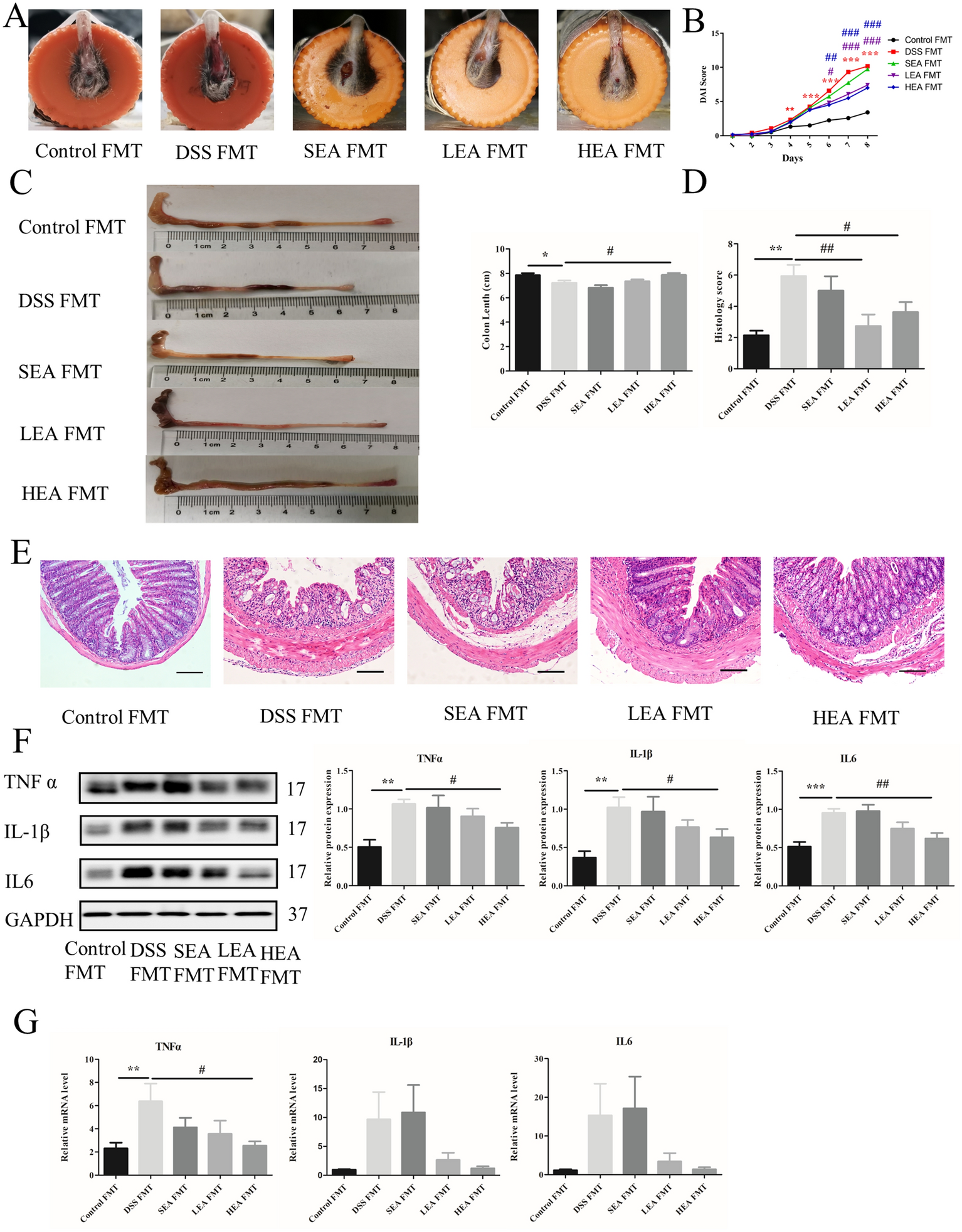 Fig. 11