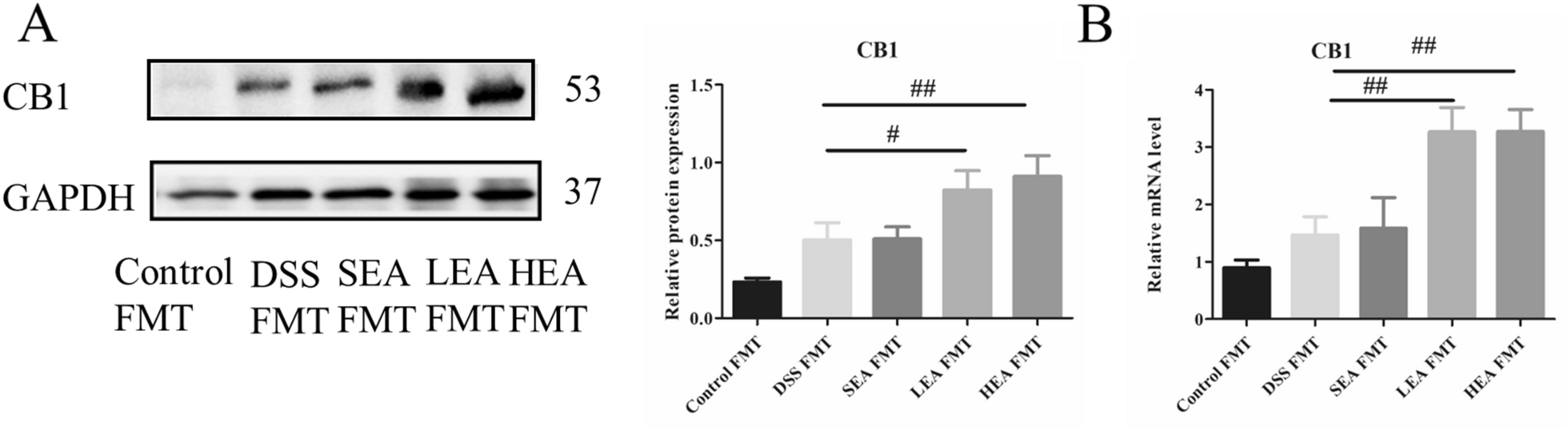 Fig. 13