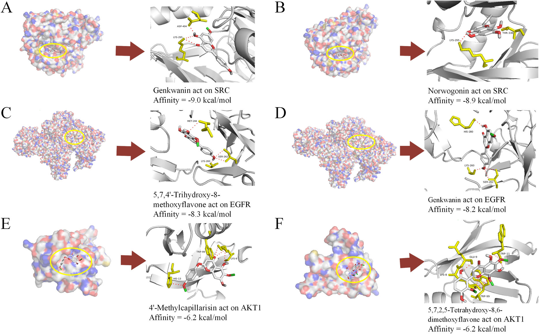 Fig. 6