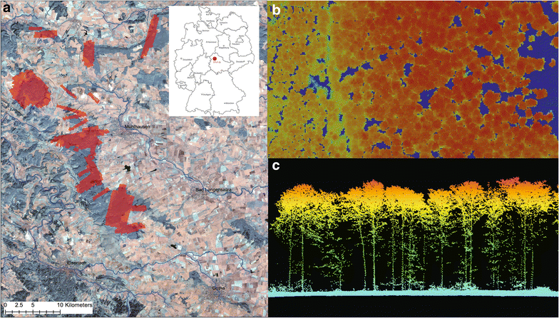 Fig. 1