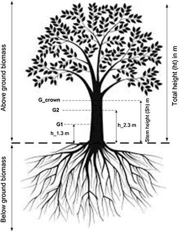 Fig. 3