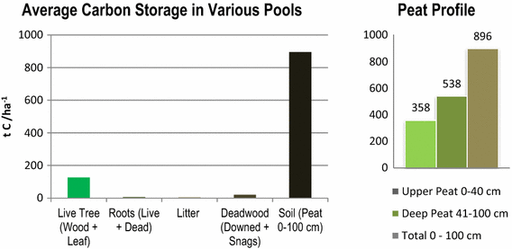 Fig. 3