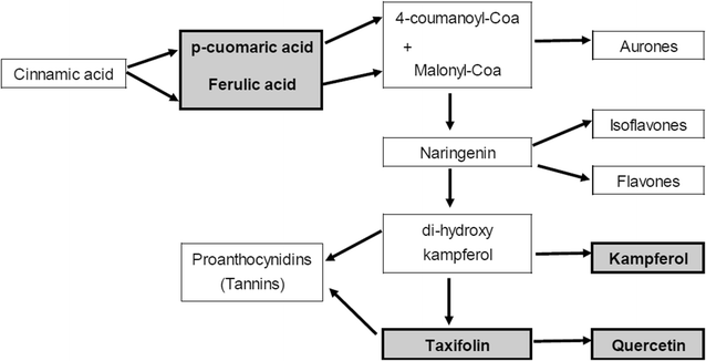 Fig. 8