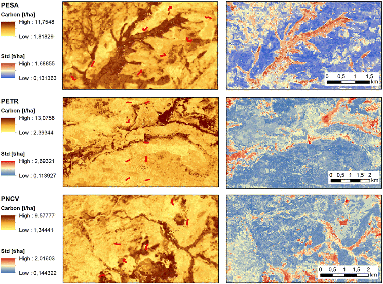 Fig. 7