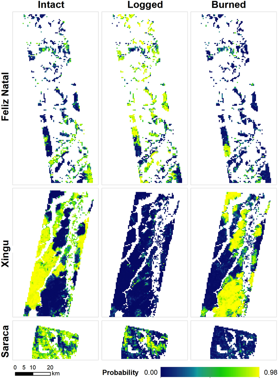 Fig. 4