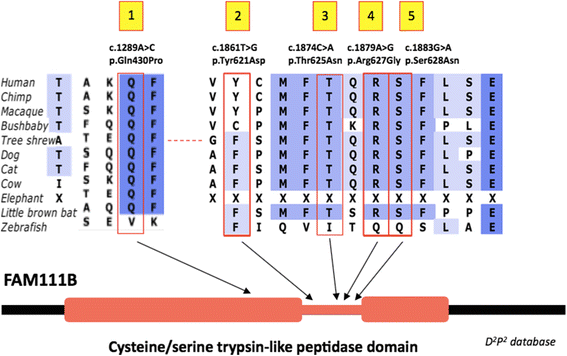 Fig. 5