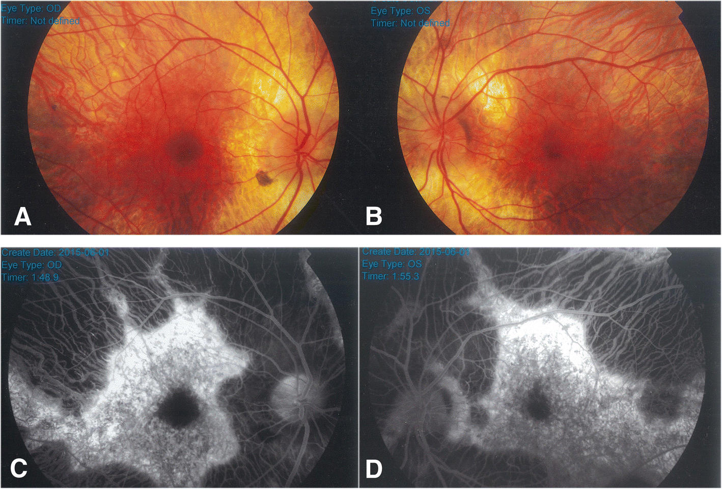 Fig. 2