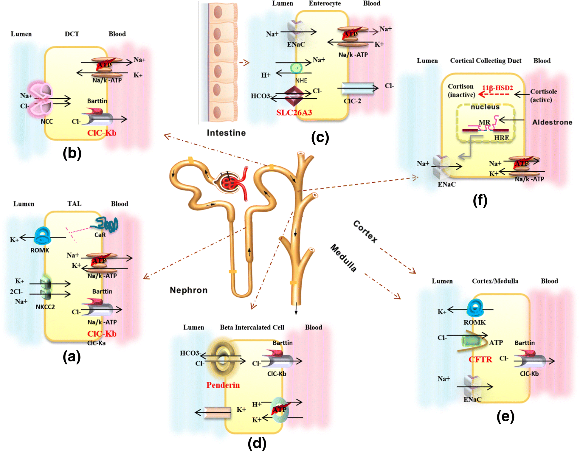 Fig. 3