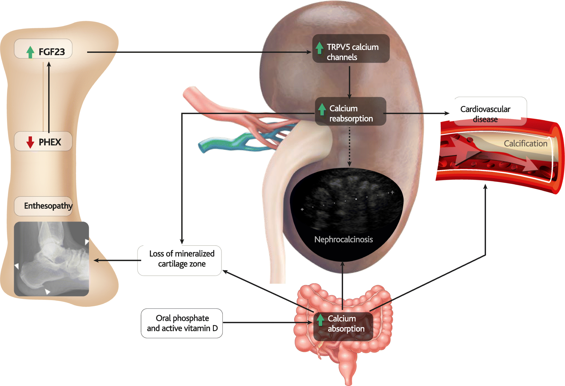 Fig. 6