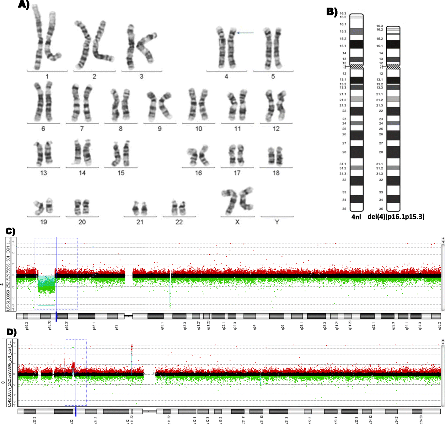 Fig. 6